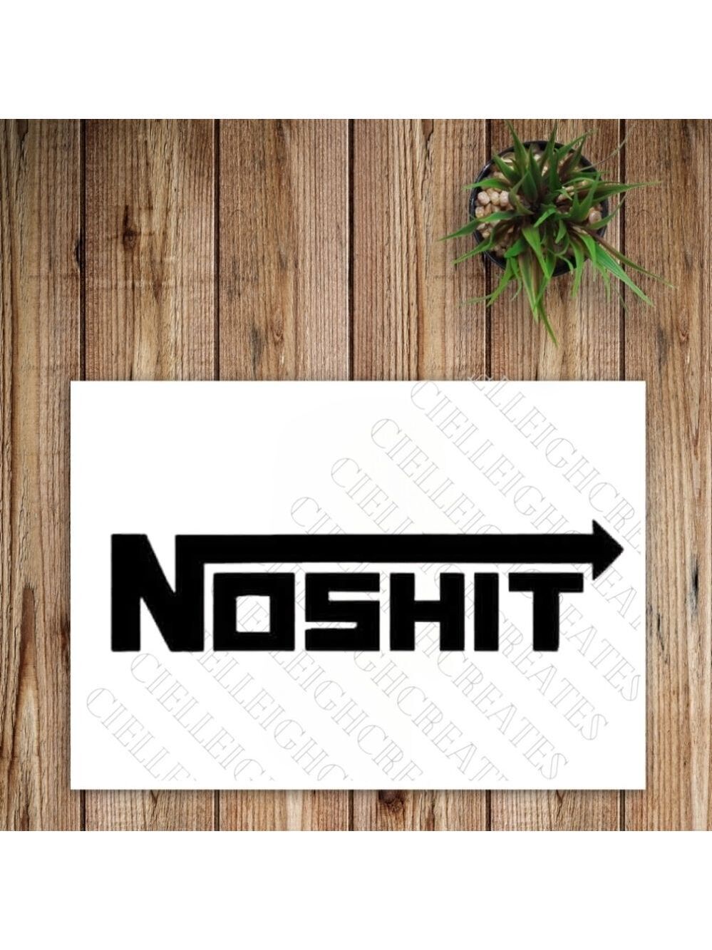 *2 for $20* Noshit Vinyl Decal Sticker Handcrafted